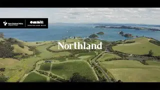 Northland Wine Region