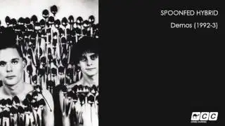 Spoonfed Hybrid - Tiny Planes