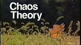 Chaos Theory