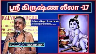 ஸ்ரீ கிருஷ்ண லீலா -17 ,  Sri Krishna Leela - Brahmashri B Sundarkumar - KNA