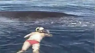 A Whale of a Deal