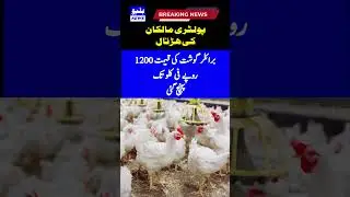 The price of broiler meat has reached Rs 1200 per kg #shorts #news