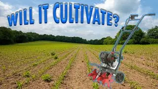 The Cheapest Cultivator You Can Buy  -  Legend Force Cultivator Gas Tiller Review