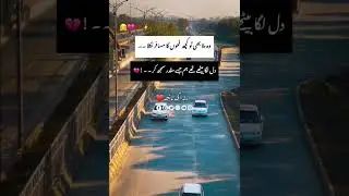 Dill ke baty❤️💖#beautiful #best #quotes #shortvideo #viralvideo #trending #shorts #foryou #poetr