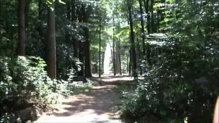 Paleispark Het Loo Apeldoorn