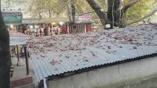 Marghozar Swat Valley