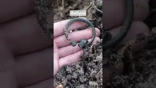 Фибула #music #metaldetecting #находкисметаллоискателем #history #nature