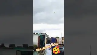 kite caching video पतंग लूटने वाला वीडियो, kite  new,kite catching video 2025,पतंगबाजी