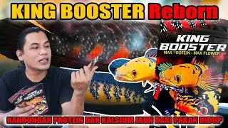 KEMBALINYA PELET KING BOOSTER