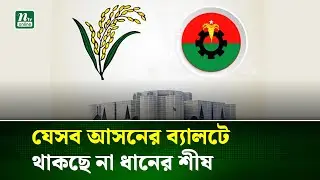 বিএনপির ছেড়ে দেওয়া আসনগুলোতে লড়ছেন কারা? তাদের প্রতীক কী? | BNP| Election | Dhaner Shish | NTV News