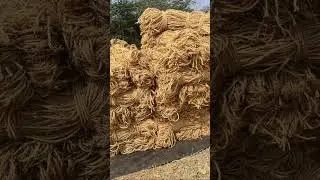9347073547,8602221112 #cocopeat #cocofiber #cocopit #cocobricks#homegardening #organic farming