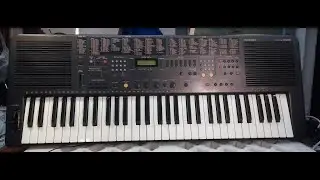 Technics KN-650 (preset sounds testing)