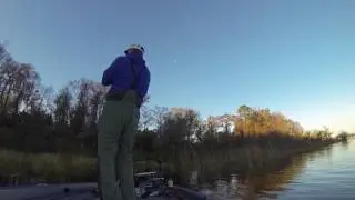 Lake Disston, FL 2015 8+ lber. Pre-spawn