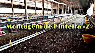 MONTAGEM DE PINTEIRA R&Aacute;PIDO E FACIL #2