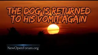 Что я наделал? Я сбежал отсюда, зачем я вообще вернулся?