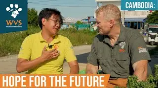 Cambodia Calling | Inside the Fight to End Rabies