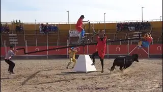 Tauste (Zaragoza) - 24/04/2024 - Casta Aragonesa - HD