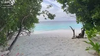 Dusit Thani Maldives - Beachfront Pool Villa Walkthrough