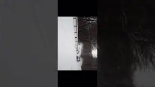 subaru snow