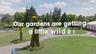 WildScapes at the Wilder Institute/Calgary Zoo