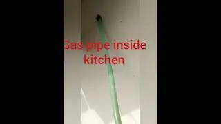 Biogas Using Kitchen Waste