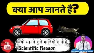 Why Dogs Run Behind Vehicles/Car/Bike/Ambulance | Kutte Gadiyon Ke Piche Kyu Bhagte Hain | Dog Run |
