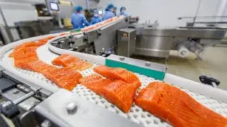 Amazing Automatic Fish Processing Line Machine Factory  Modern Food Production Processing Technology