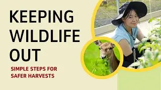 Preventing Animal Intrusion on Your Farm