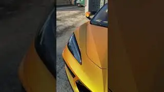 C8 Corvette's STUNNING New Gold Look! 😲
