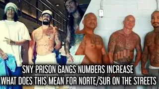 SNY PRISON GANG NUMBERS  INCREASE!!! WHAT DOES THAT MEAN FOR NORTENO/SURENO HOODS ON THE STREETS