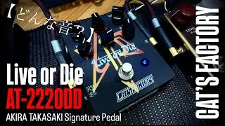 【どんな音？】CAT&rsquo;S Factory AT-222ODD Live or Die/OverDrive Distortion