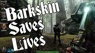 Vermintide 2: The Benefits of Barkskin