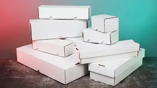 BCW Card Boxes and Bins with Wide Rows to Hold Toploaders