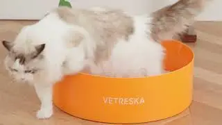 Sizeable Capacity VETRESKA Tangerine Cat Litter Box