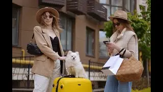 How to Make Pet Travel in Europe Really Easy
