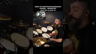 BLACK METAL DRUMS - IMMORTAL - SONS OF NORTHERN DARKNESS - HORGH