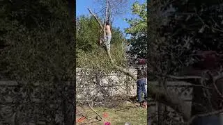 Tree cutting FAILS. This could end badly&hellip;