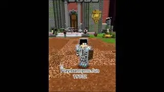New Minecraft lifestyle server. #minecraft #lifstealsmp