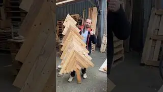No needle drop Christmas tree! #diy #pallet #woodworking #christmastree #design #recycle