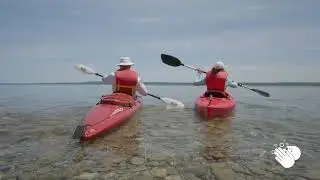 Experience Cobble Beach Safely this Summer