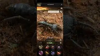 The Ants: BEST SPECIAL ANTS For PVP