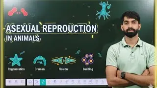 Reproduction in Animal's (Asexual Reproduction)|Bhupender Kaushik|for class 6,7,8,10 @Adhyapakpoint
