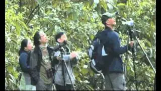 DOI LANG com