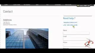 Teez Pay Views (e-currency exchanger)