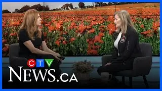 VETS Canada supporting veterans and their families