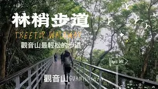 觀音山林梢步道｜最輕鬆的森林療癒路線！新北五股親子級健行景點 Treetop Walkway