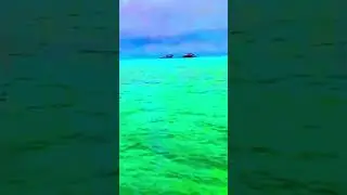 Rindu Oku Dak Muu Malouf Electronic Fusion