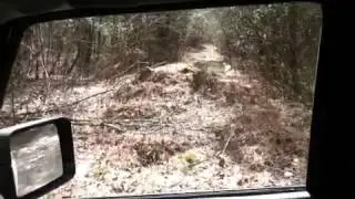 Video #15 - Duncan Ridge Road Part 2