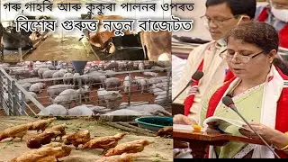 Assam budget 2021-2022 // পশু পালক সকলৰ বাবে বিশেষ সুবিধা প্ৰদান এই বাজেটত ।।
