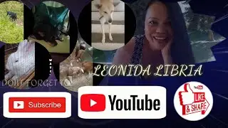 MEET OUR PETS/LEONIDA LIBRIA